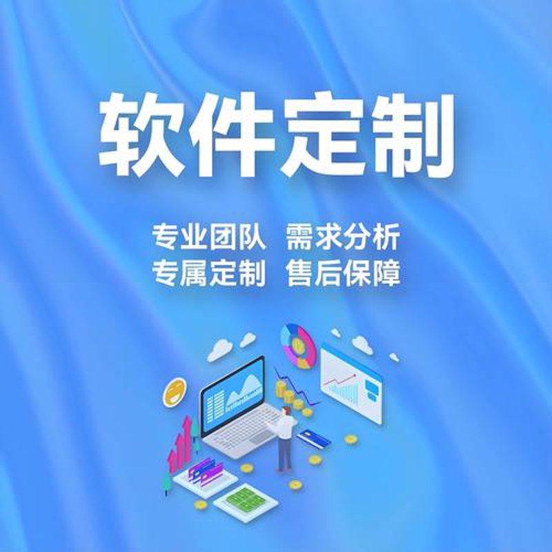 海口软件开发：互联网时代的定制化解决方案