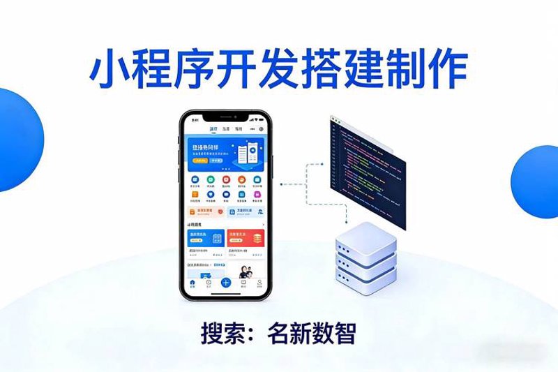 海口软件开发行业最新动态：定制化服务与市场趋势